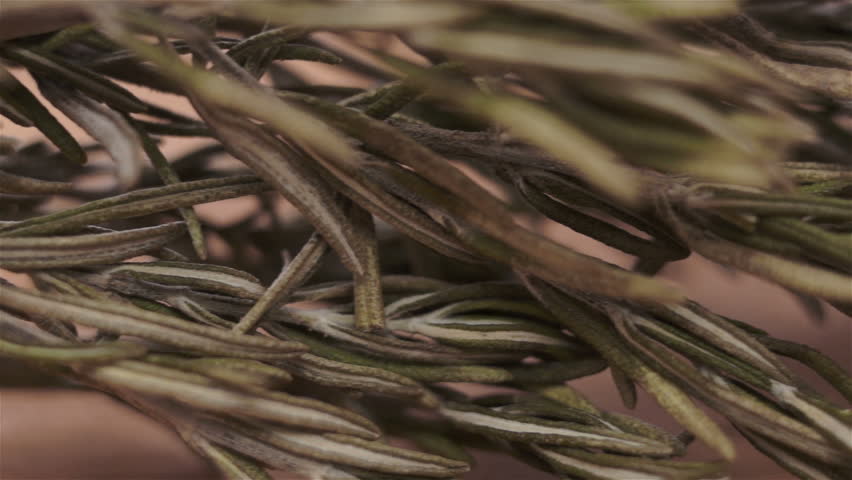 Header of drolly