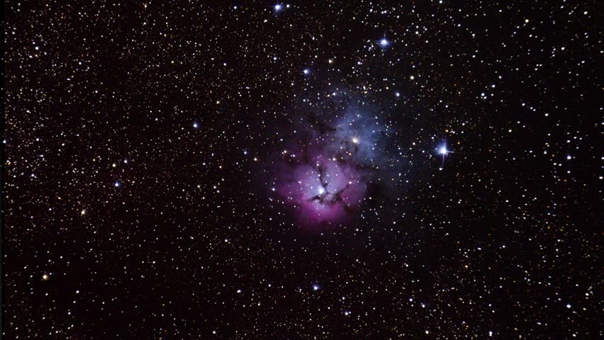 Header of trifid