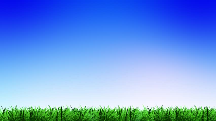 Colorful Green Field And Sky Blue With White Cloud 1980 X 1080 Grass