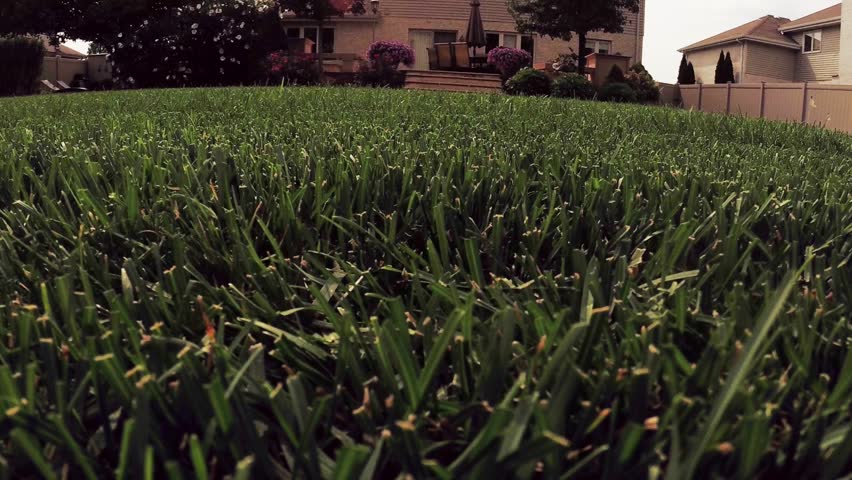 4k Yard Chores Cutting Lawn Stock Footage Video (100% Royalty-free ...