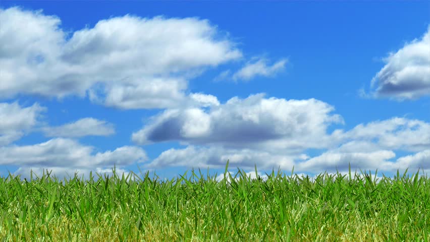 Grass To Blue Sky Panning Horizon, Perfect Outdoor Background. This Is ...